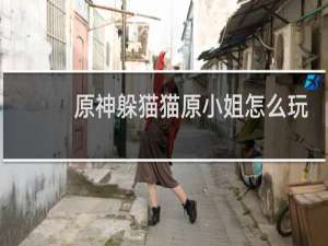 原神躲猫猫原小姐怎么玩