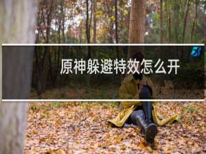 原神躲避特效怎么开
