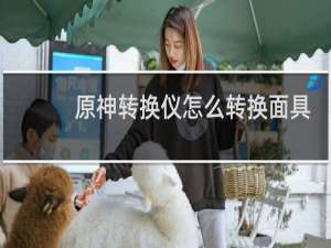 原神转换仪怎么转换面具