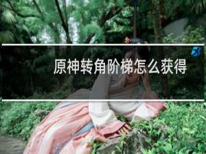 原神转角阶梯怎么获得