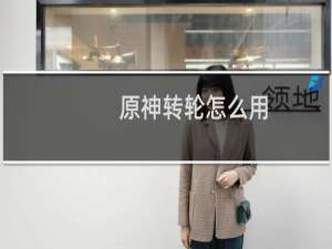 原神转轮怎么用