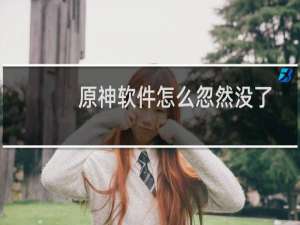 原神软件怎么忽然没了