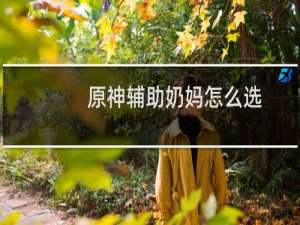 原神辅助奶妈怎么选