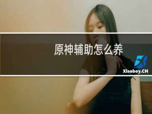 原神辅助怎么养