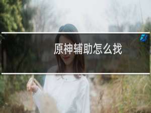 原神辅助怎么找