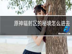 原神辐射区的秘境怎么进去