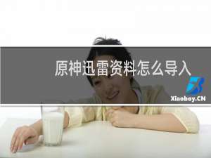 原神迅雷资料怎么导入