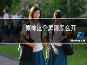 原神这个屏障怎么开