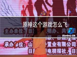 原神这个游戏怎么飞