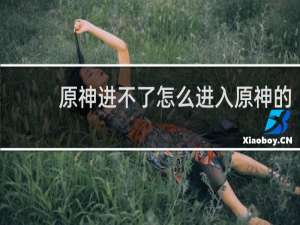 原神进不了怎么进入原神的