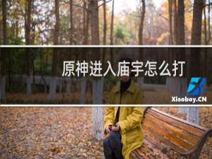 原神进入庙宇怎么打