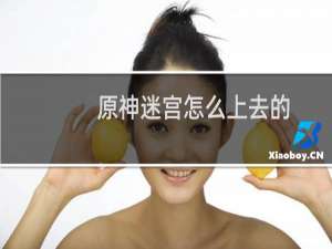 原神迷宫怎么上去的