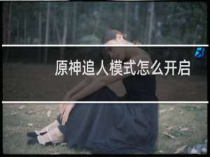 原神追人模式怎么开启