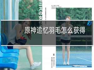 原神追忆羽毛怎么获得