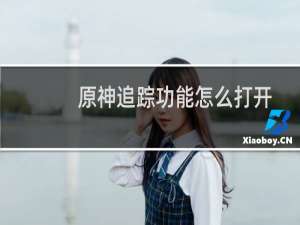 原神追踪功能怎么打开