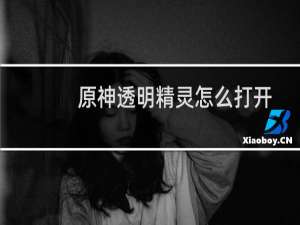 原神透明精灵怎么打开