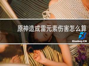 原神造成雷元素伤害怎么算