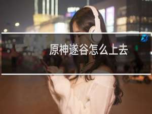 原神遂谷怎么上去
