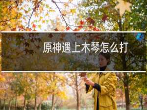 原神遇上木琴怎么打