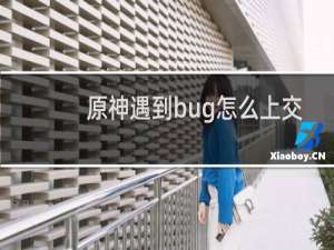 原神遇到bug怎么上交