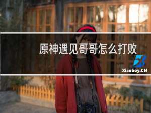 原神遇见哥哥怎么打败