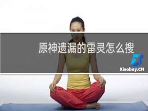 原神遗漏的雷灵怎么搜