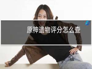 原神遗物评分怎么查