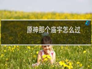 原神那个庙宇怎么过