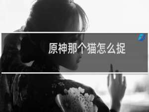 原神那个猫怎么捉