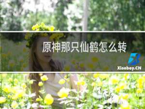 原神那只仙鹤怎么转