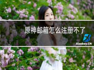 原神邮箱怎么注册不了