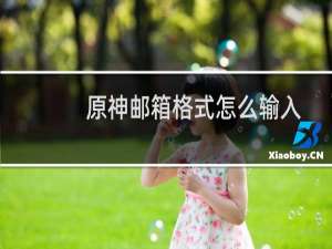 原神邮箱格式怎么输入