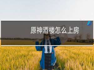 原神酒楼怎么上房