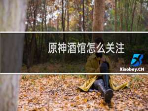 原神酒馆怎么关注