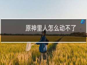 原神里人怎么动不了