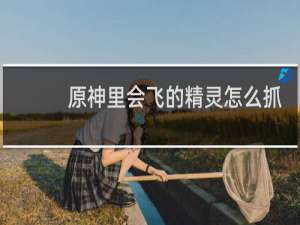 原神里会飞的精灵怎么抓