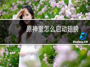 原神里怎么启动翅膀