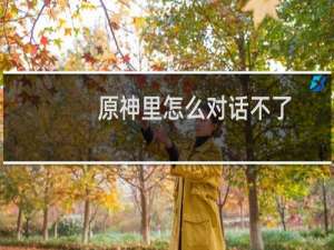 原神里怎么对话不了