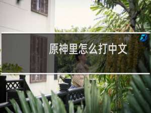 原神里怎么打中文