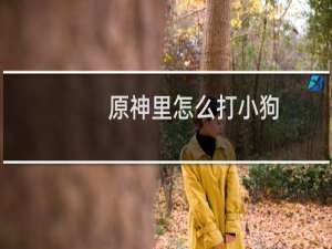原神里怎么打小狗