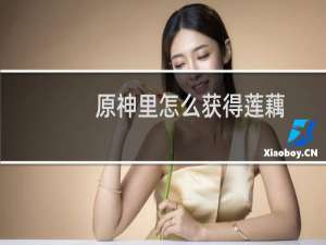 原神里怎么获得莲藕