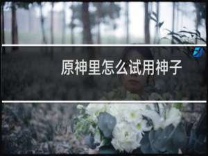 原神里怎么试用神子