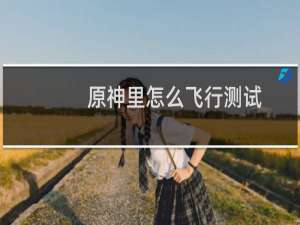 原神里怎么飞行测试