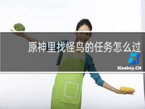 原神里找怪鸟的任务怎么过