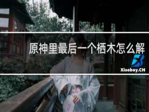 原神里最后一个栖木怎么解
