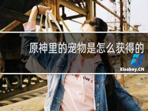原神里的宠物是怎么获得的