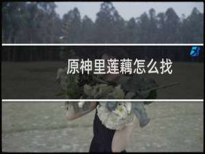 原神里莲藕怎么找