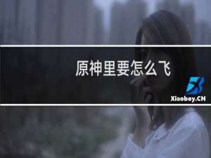 原神里要怎么飞