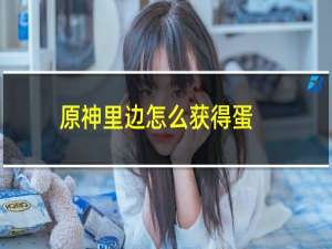 原神里边怎么获得蛋