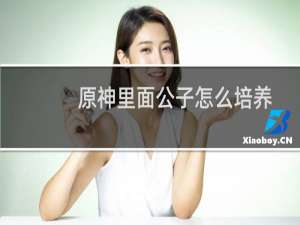 原神里面公子怎么培养